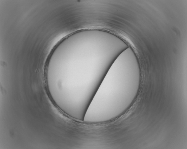 X0000090971087200708021137