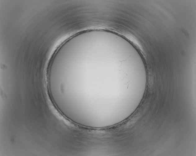 X0000090971088200708021137