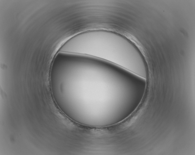 X0000090971089200708021137