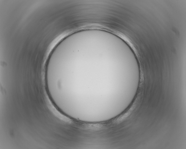 X0000090971090200708021137