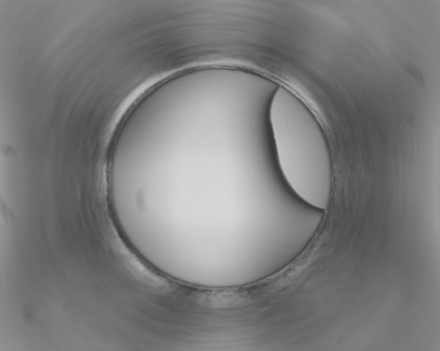 X0000090971092200708021137