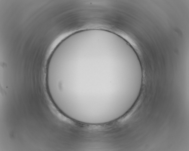 X0000090971094200708021137