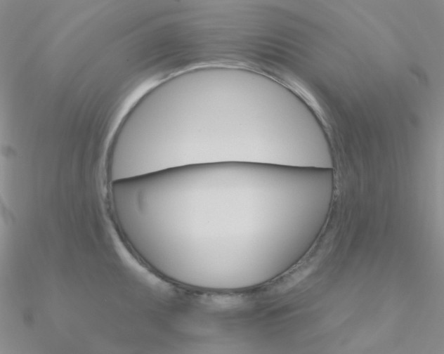 X0000090971095200708021137