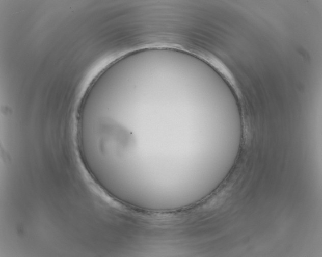 X0000090971096200708021137