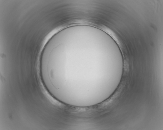 X0000090971098200708021137