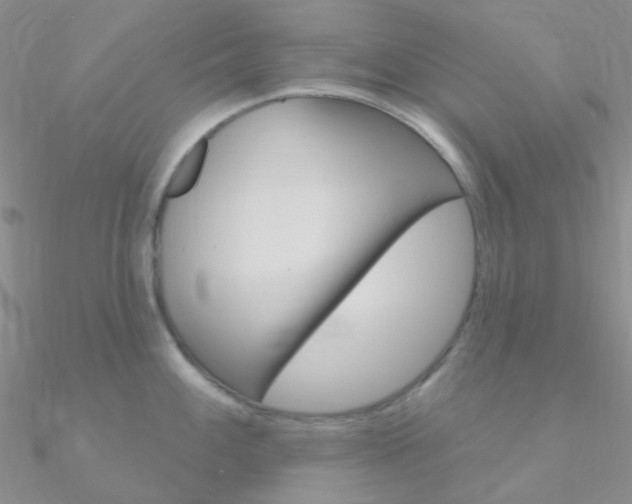 X0000090971100200708021137