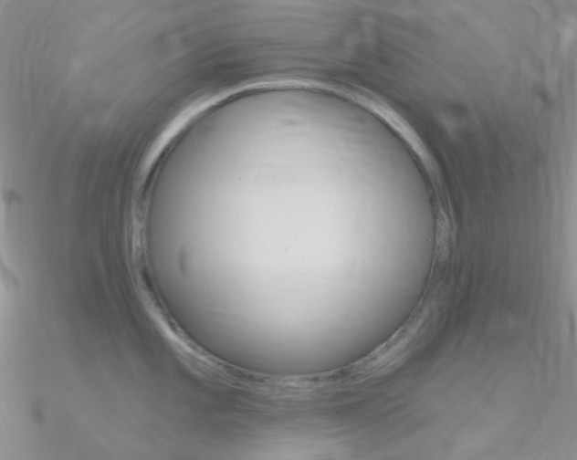 X0000090971101200708021137