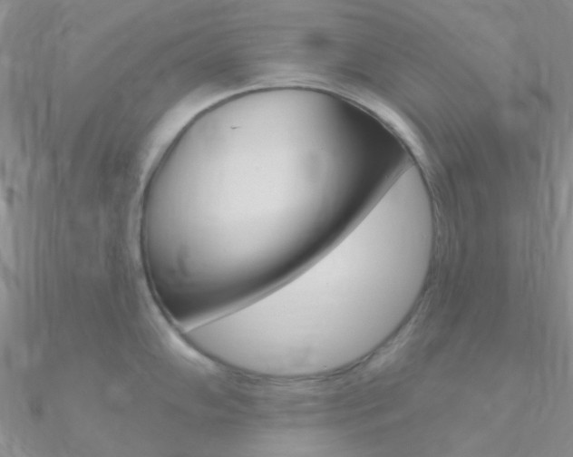 X0000090971102200708021137