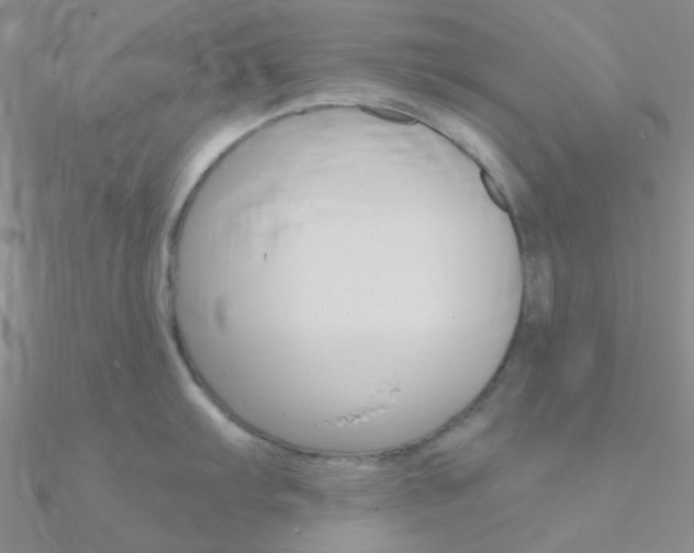 X0000090971103200708021137