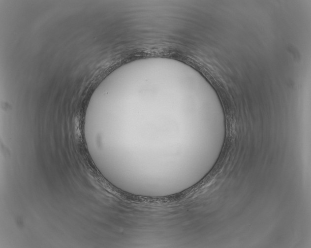 X0000090971106200708021136
