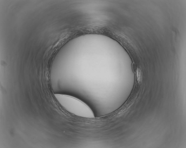 X0000090971107200708021136