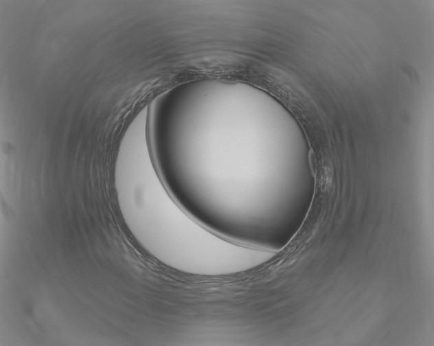 X0000090971108200708021136