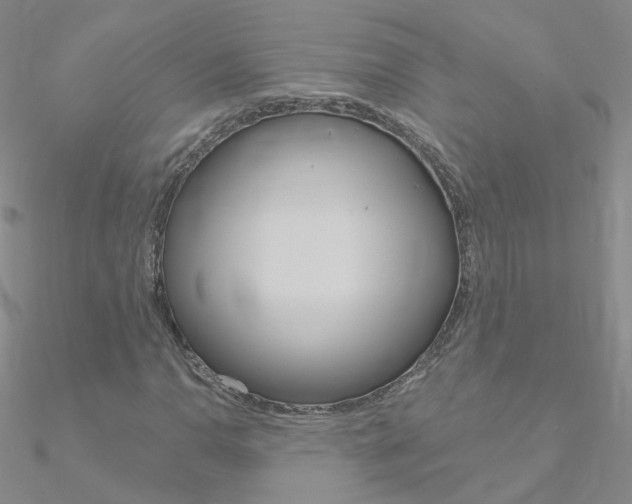 X0000090971110200708021136
