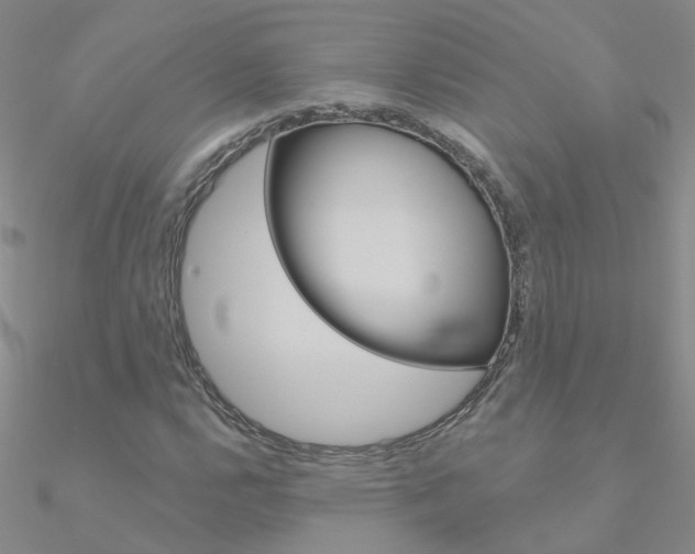 X0000090971112200708021136