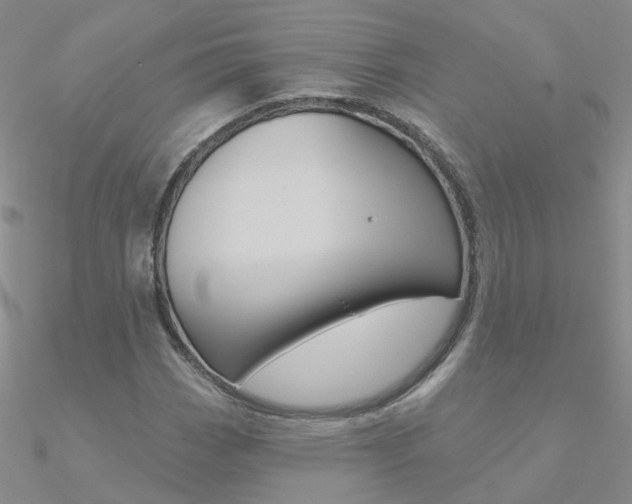 X0000090971113200708021136