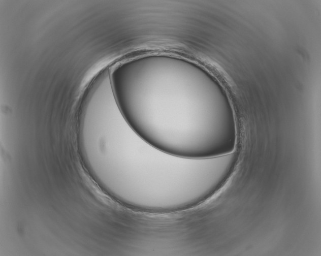 X0000090971114200708021136