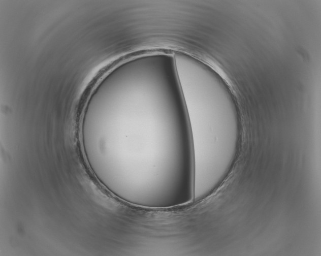 X0000090971116200708021136