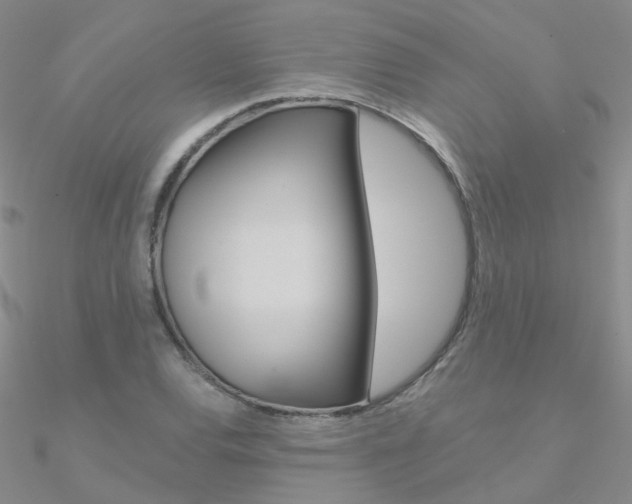 X0000090971120200708021136