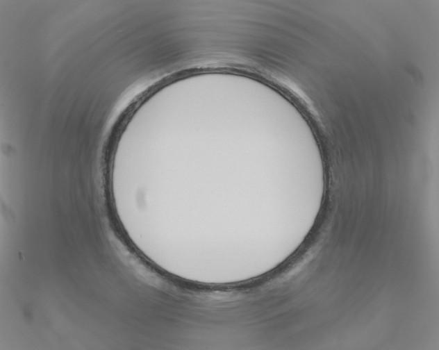 X0000090971122200708021136