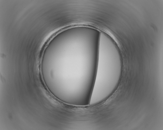 X0000090971124200708021136