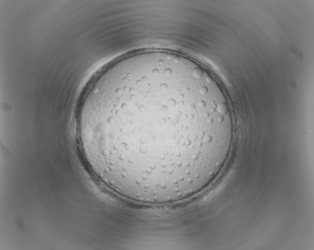 X0000090971125200708021136