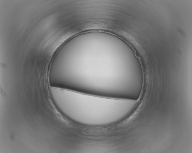X0000090971129200708021136
