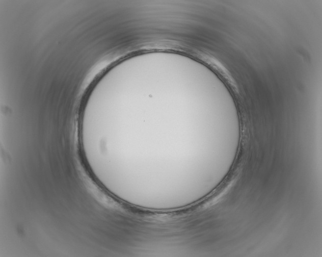 X0000090971130200708021136