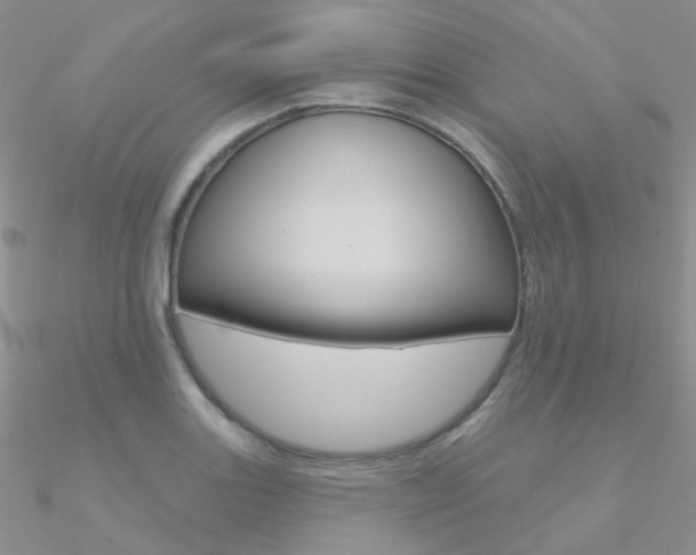 X0000090971131200708021136