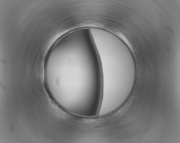 X0000090971132200708021136