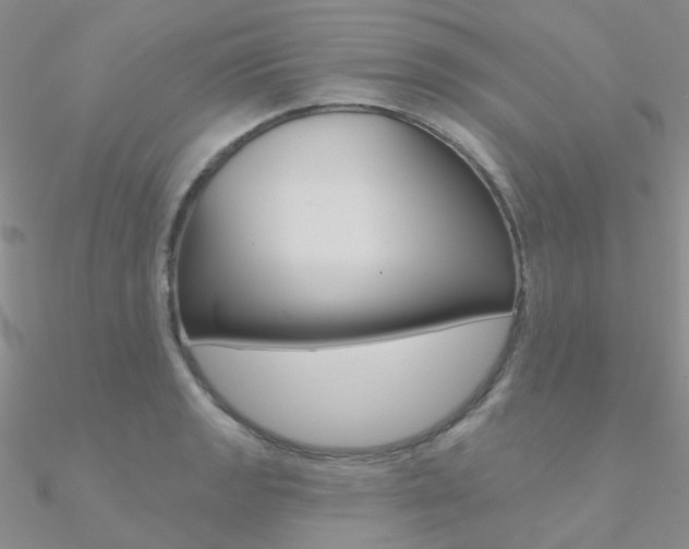 X0000090971133200708021136