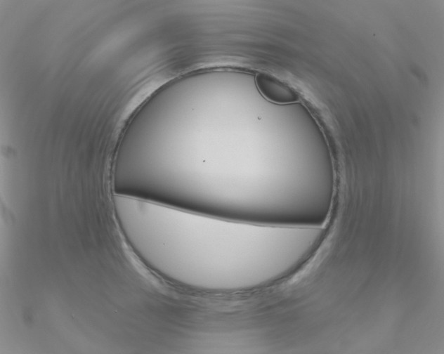 X0000090971137200708021136