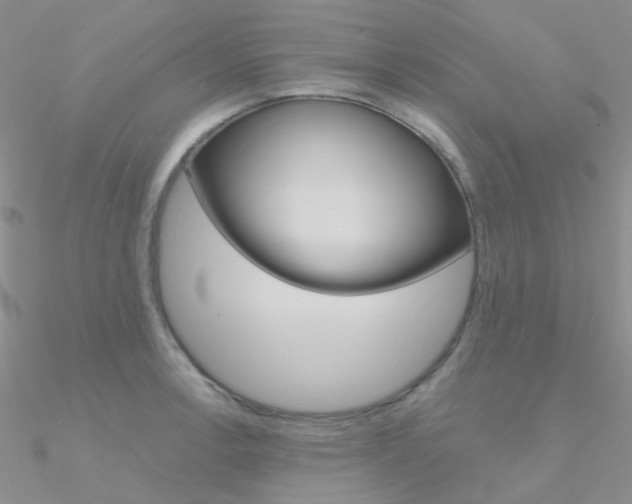 X0000090971138200708021137