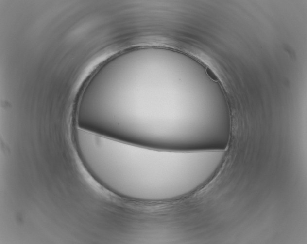 X0000090971139200708021137