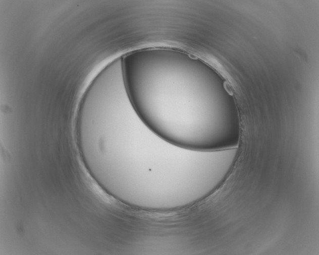 X0000090971140200708021137