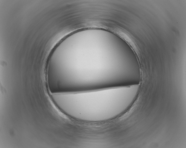 X0000090971141200708021137