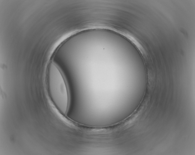 X0000090971142200708021137