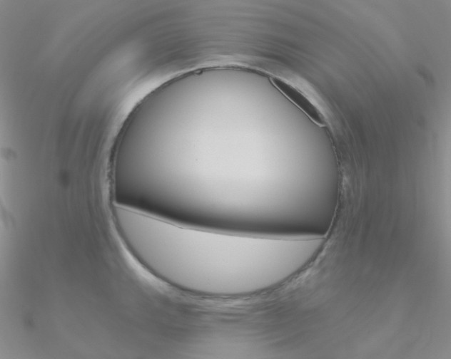 X0000090971143200708021137