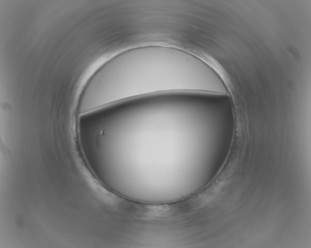X0000090971144200708021137