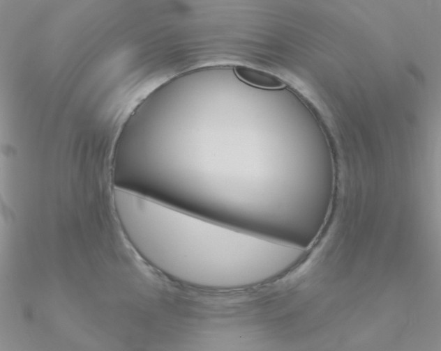 X0000090971145200708021137