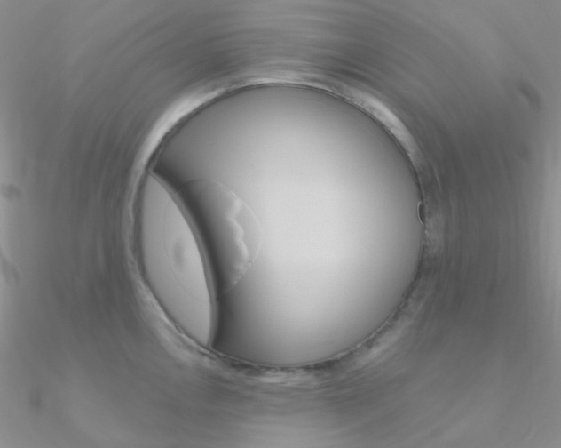 X0000090971146200708021137