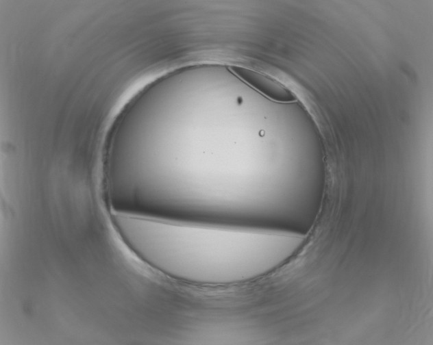 X0000090971147200708021137