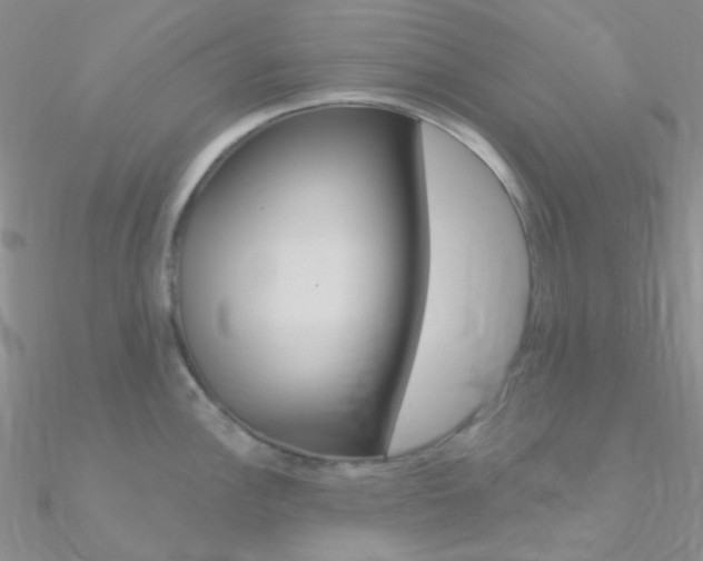 X0000090971148200708021137