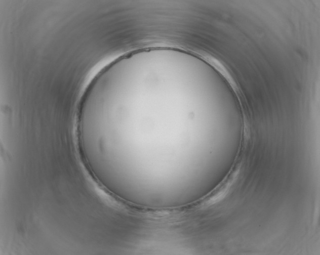 X0000090971149200708021137