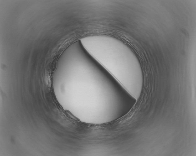 X0000090971155200708021136