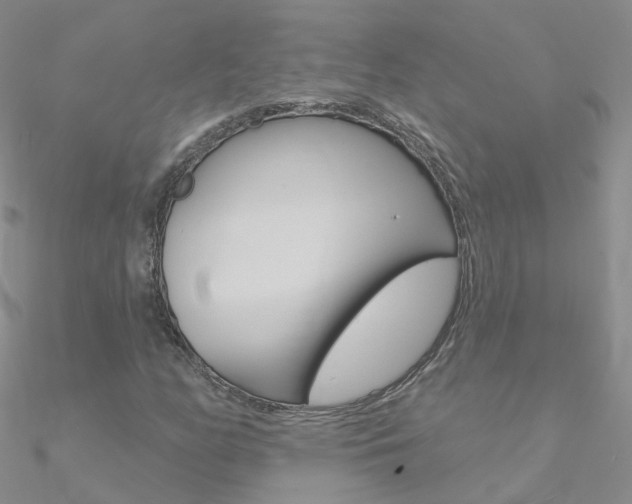 X0000090971158200708021136