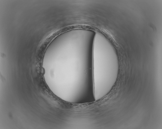 X0000090971159200708021136