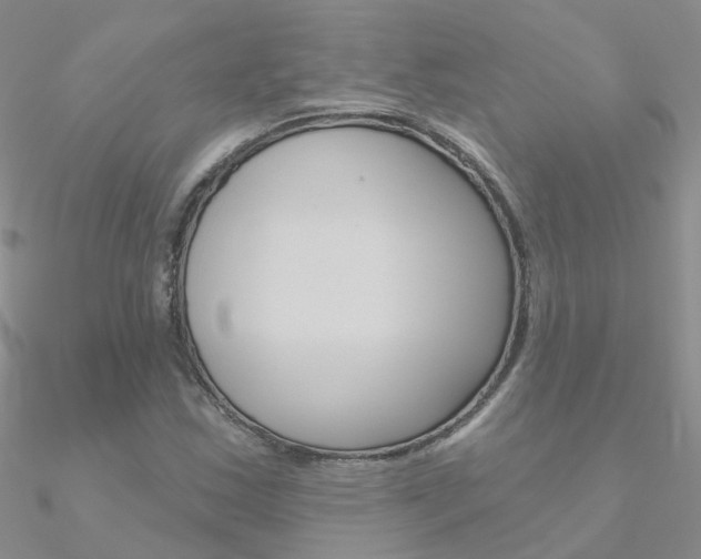 X0000090971163200708021136