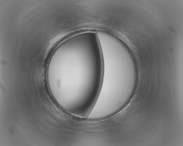 X0000090971164200708021136