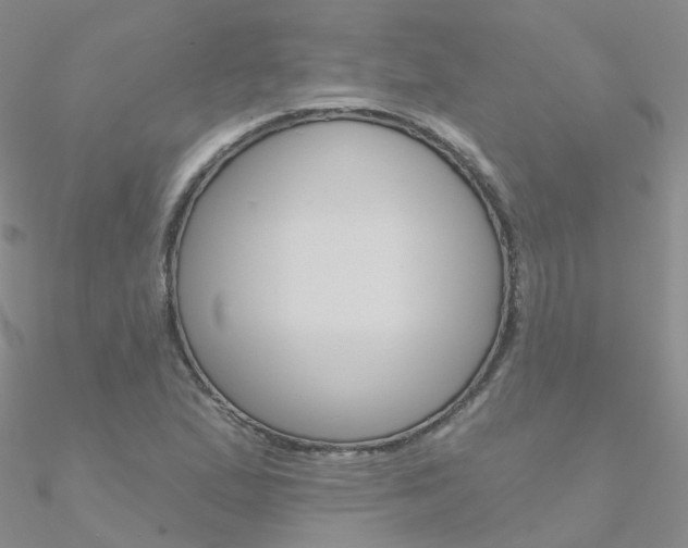 X0000090971167200708021136