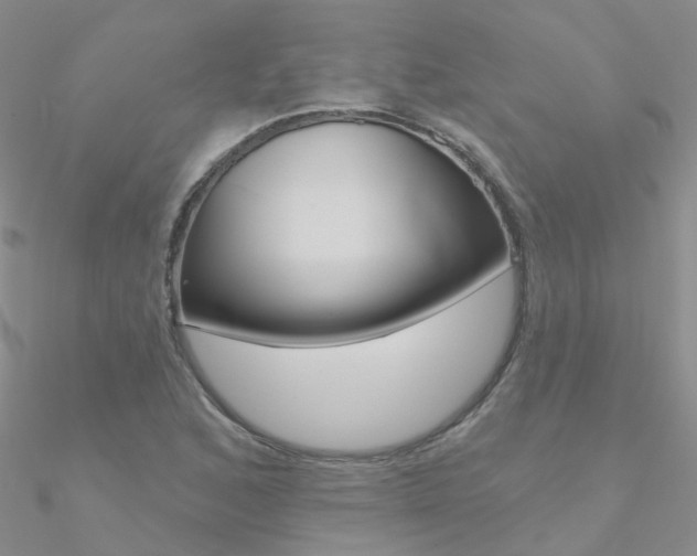 X0000090971168200708021136